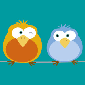 Flyers Canisius Flyer