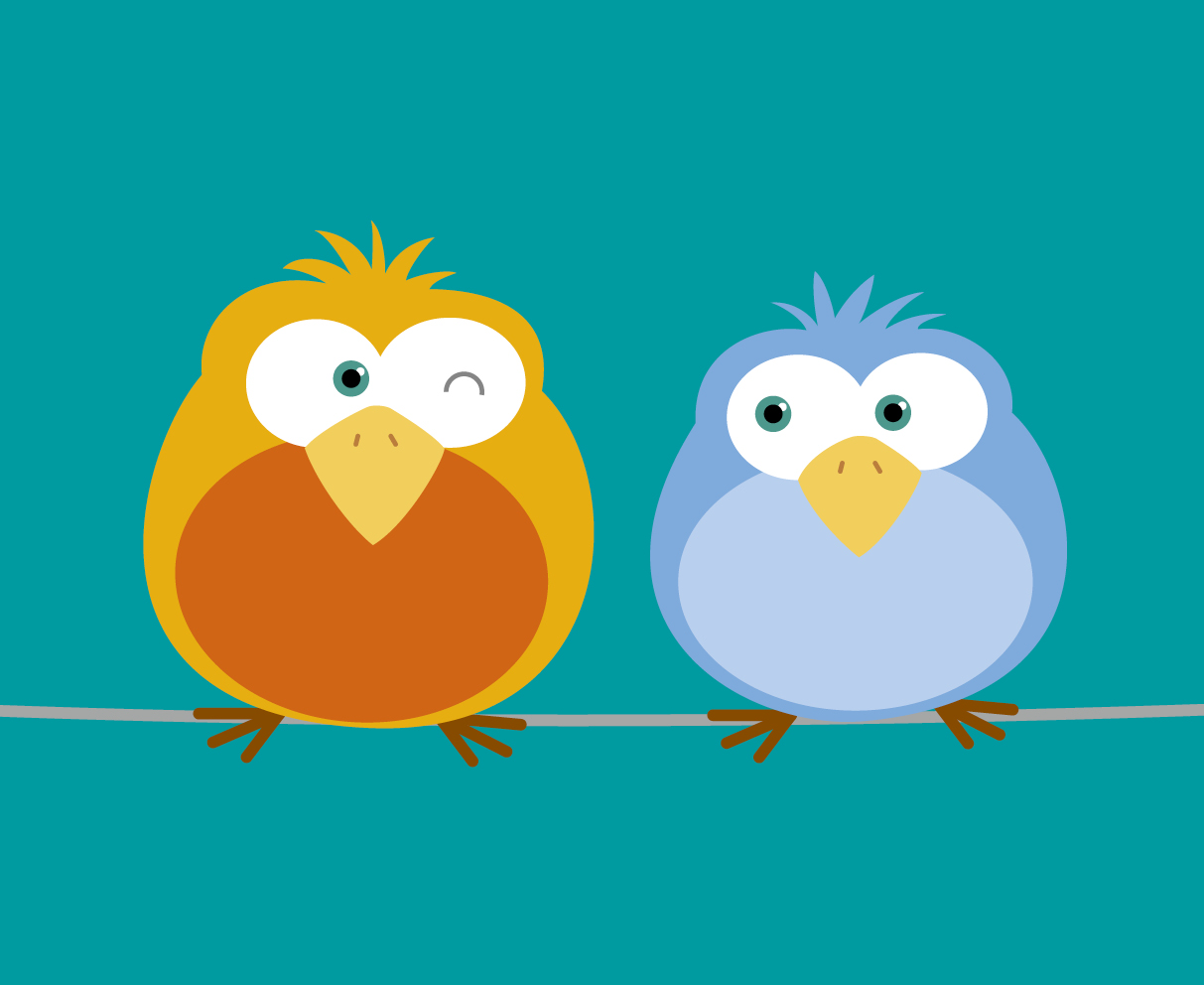 Flyers Canisius Flyer