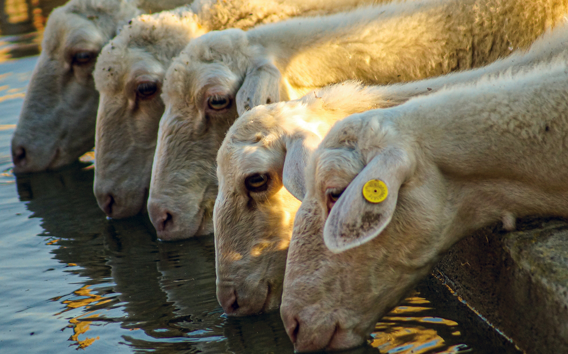 Calendrier Kalender / Mars März 2026